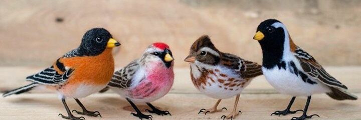 pam_maringa's profile banner image
