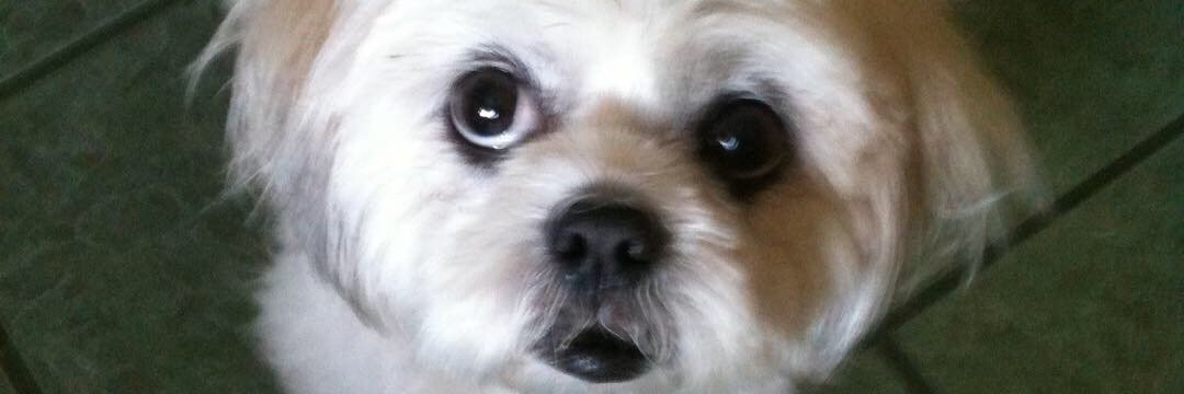 WWagar's profile banner image