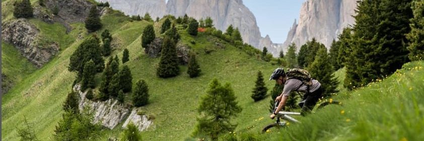 Lewis Kirkwood banner