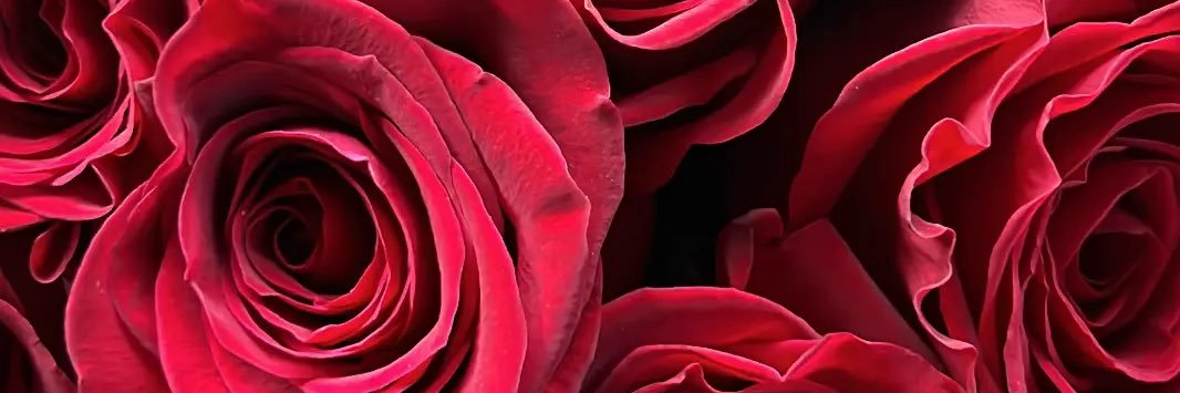 Key🌹's banner