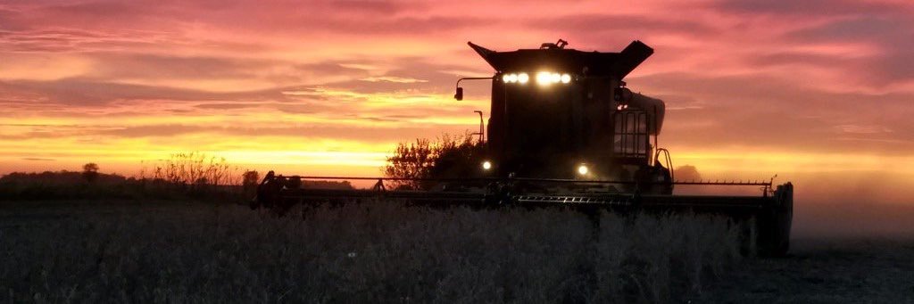edalton_9's profile banner image