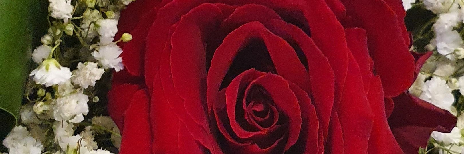 soso112244's profile banner image