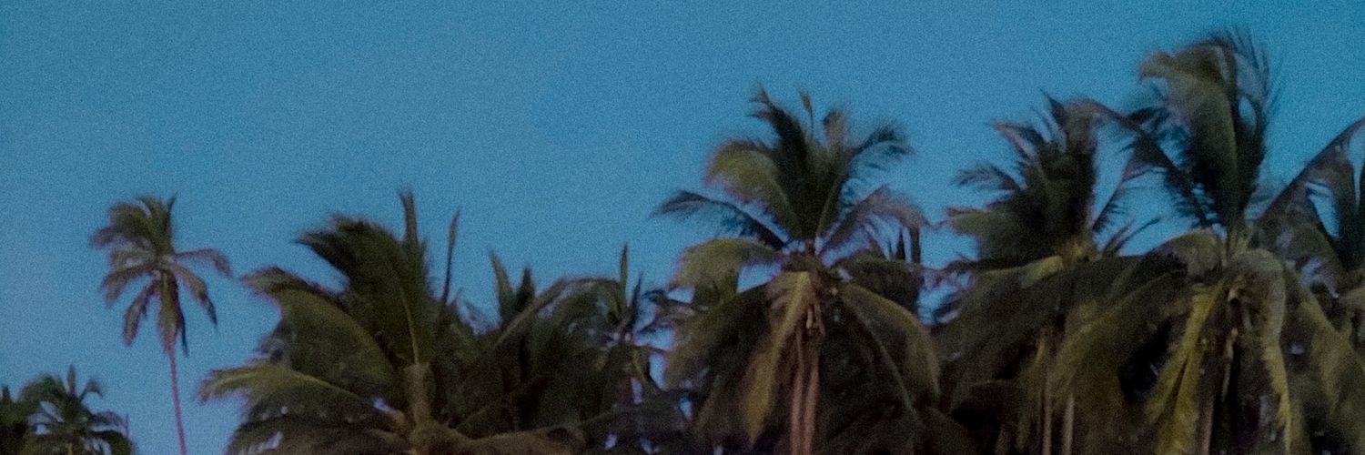 solxmnx's profile banner image