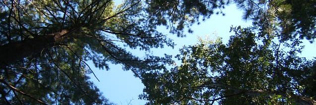 A. Blaine Cleaver banner