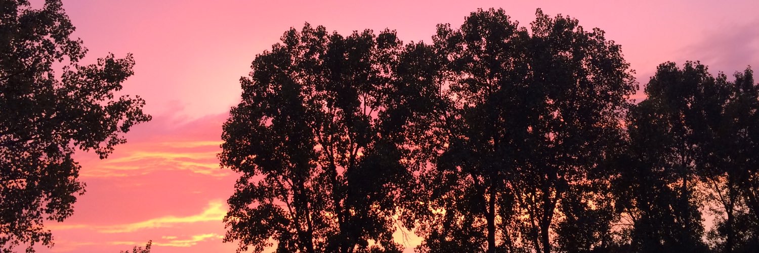 bethmreynolds's profile banner image