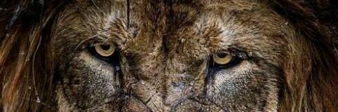 Kagiso_E's profile banner image