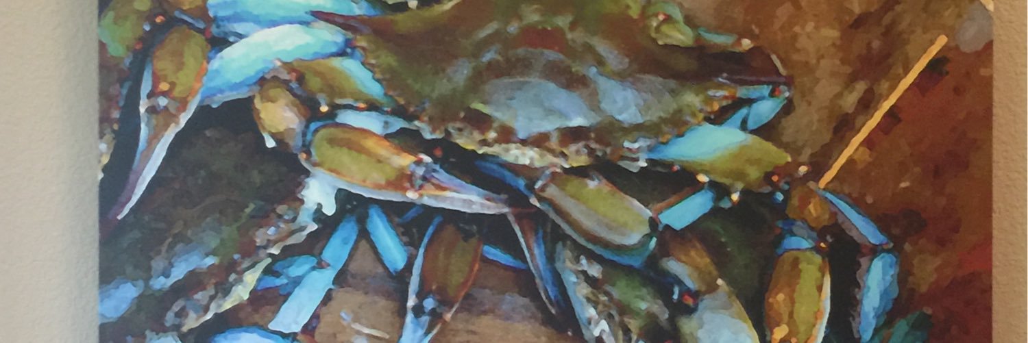 LeslieKaiser3's profile banner image