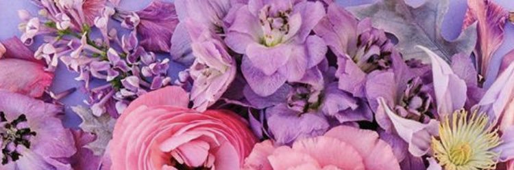 JESSiE 💕 banner