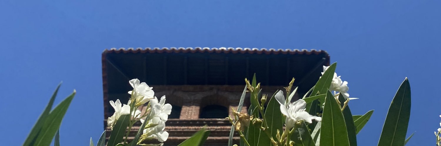 EnmaCalvo's profile banner image