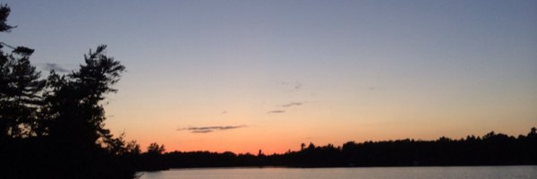 gapps10 Profile Banner