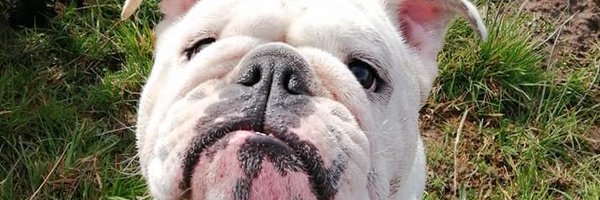 emmaj87x Profile Banner