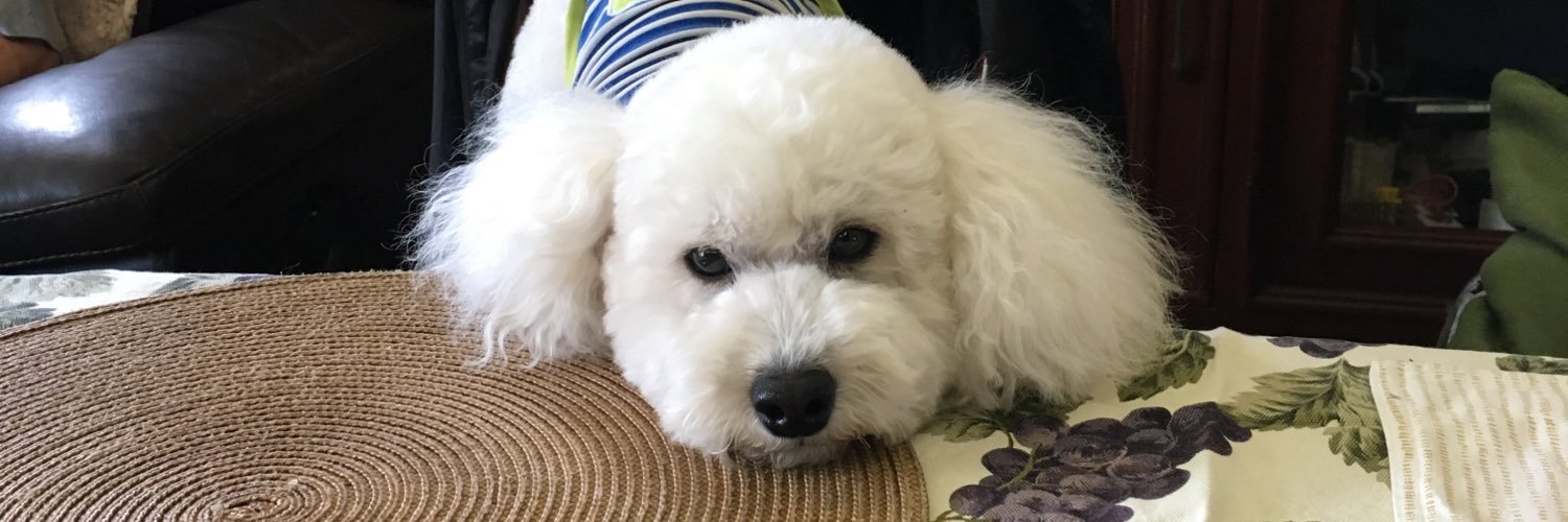 ariali3110's profile banner image