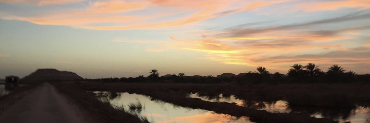 shams_ismail's profile banner image