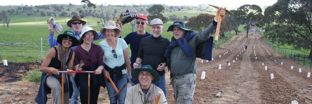 BushcareNSW's profile banner image