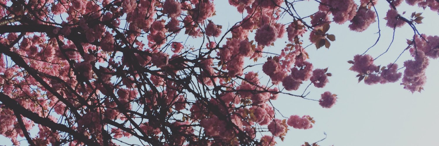 Mete0rites's profile banner image
