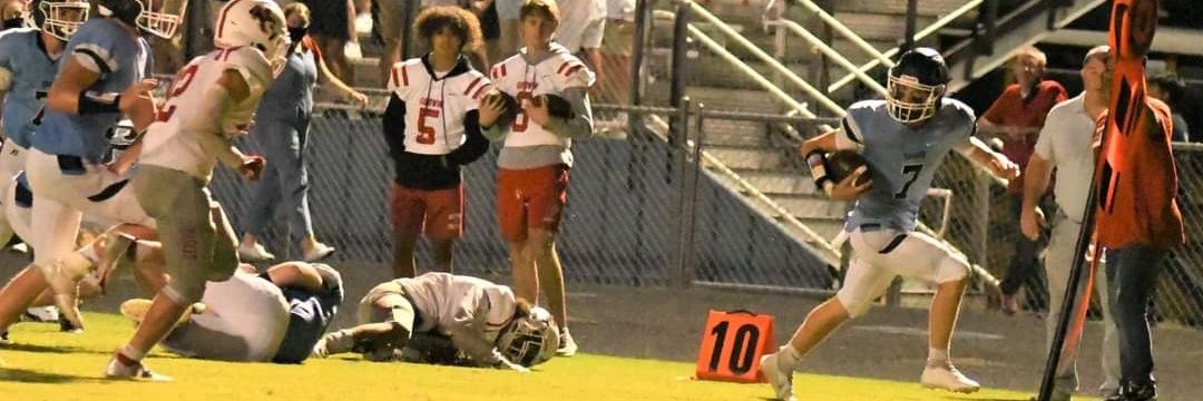 Paula Hurley Sahnow banner