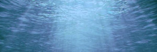 ZacAAuthors Profile Banner