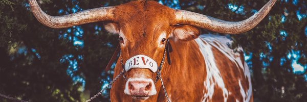 StillOnWheels Profile Banner