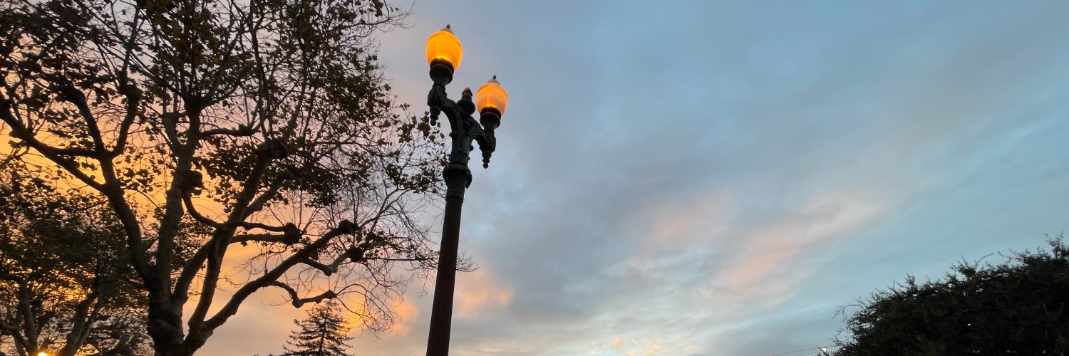 Susie Wyshak banner