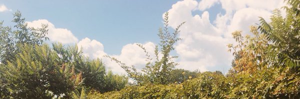 KellyBusche Profile Banner