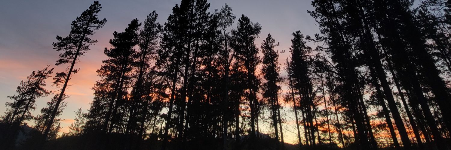wolfcollar92's profile banner image