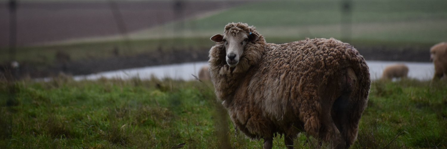 VicFarmers's profile banner image