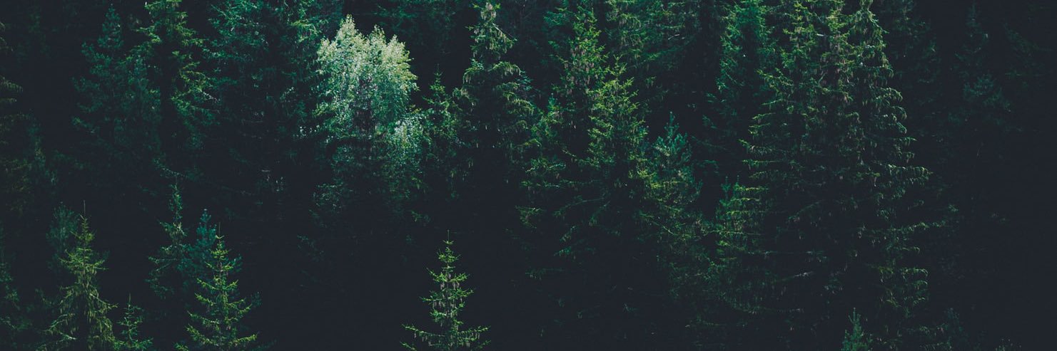 jacc_fitt's profile banner image