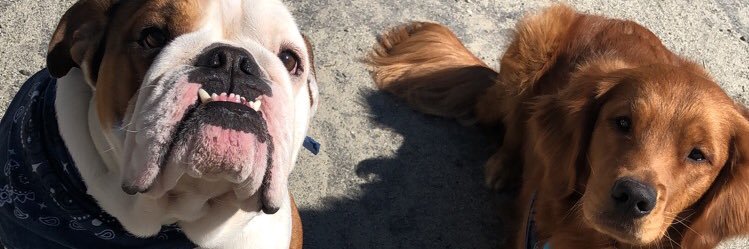 katieeguzz's profile banner image
