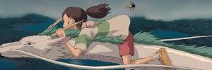 Vir banner
