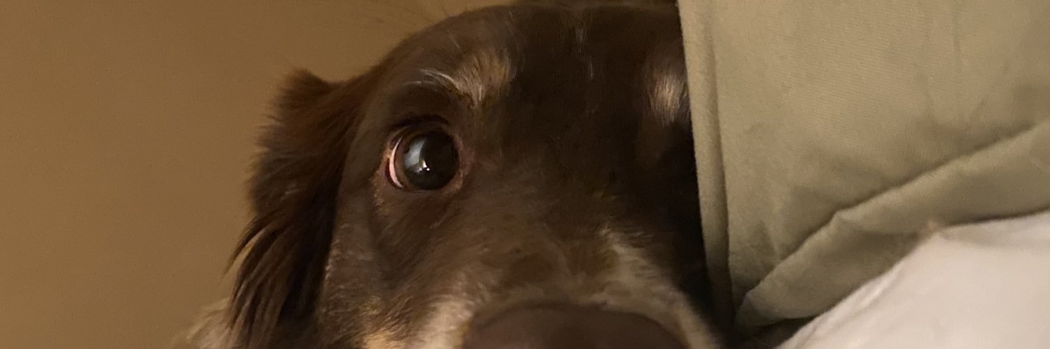 jordan_trees's profile banner image
