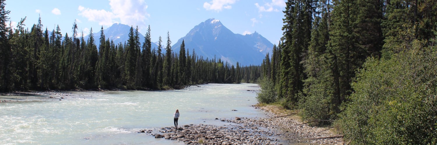 Madeline Curry banner