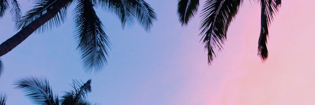 MathiildaL's profile banner image