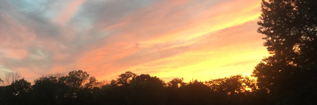 BethanyGast's profile banner image