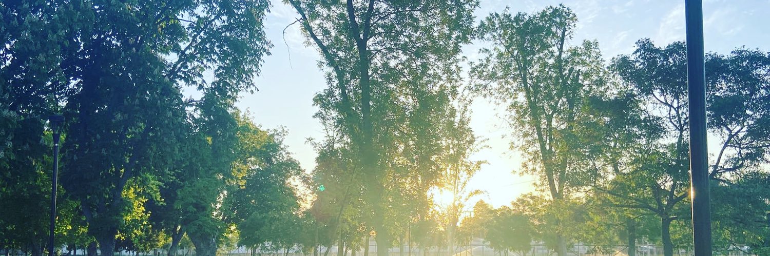 Macarena Mellado Arana banner