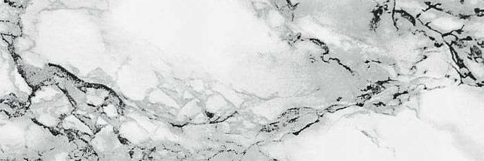 TeenDestiny1's profile banner image