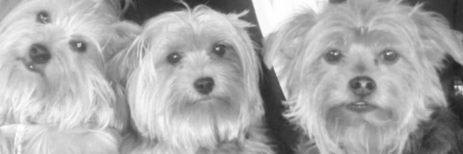 MichelleWash20's profile banner image