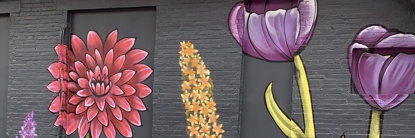 eeeolhc_'s profile banner image