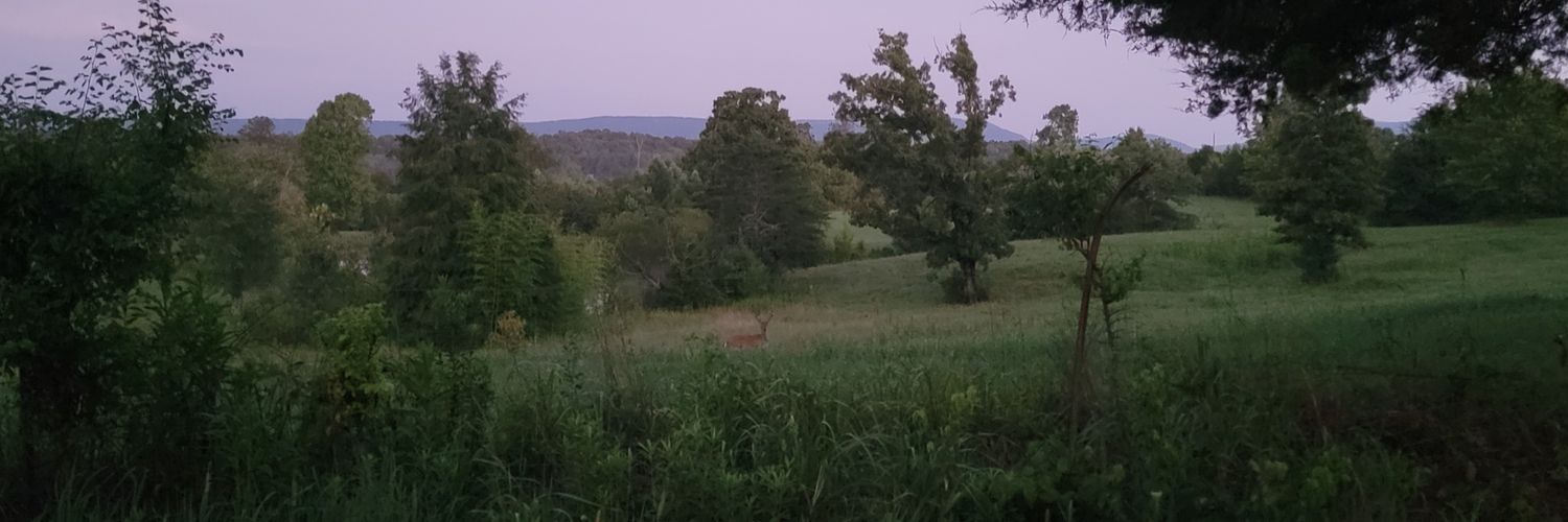 Bowhunter_TC's profile banner image