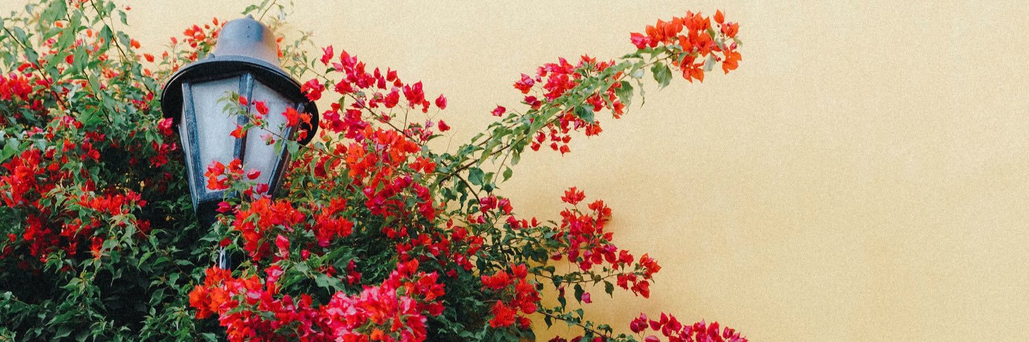 adoug97's profile banner image