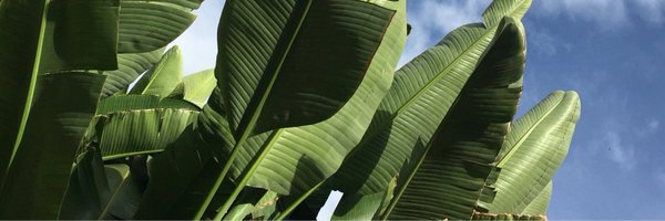 jenniferbeals Profile Banner