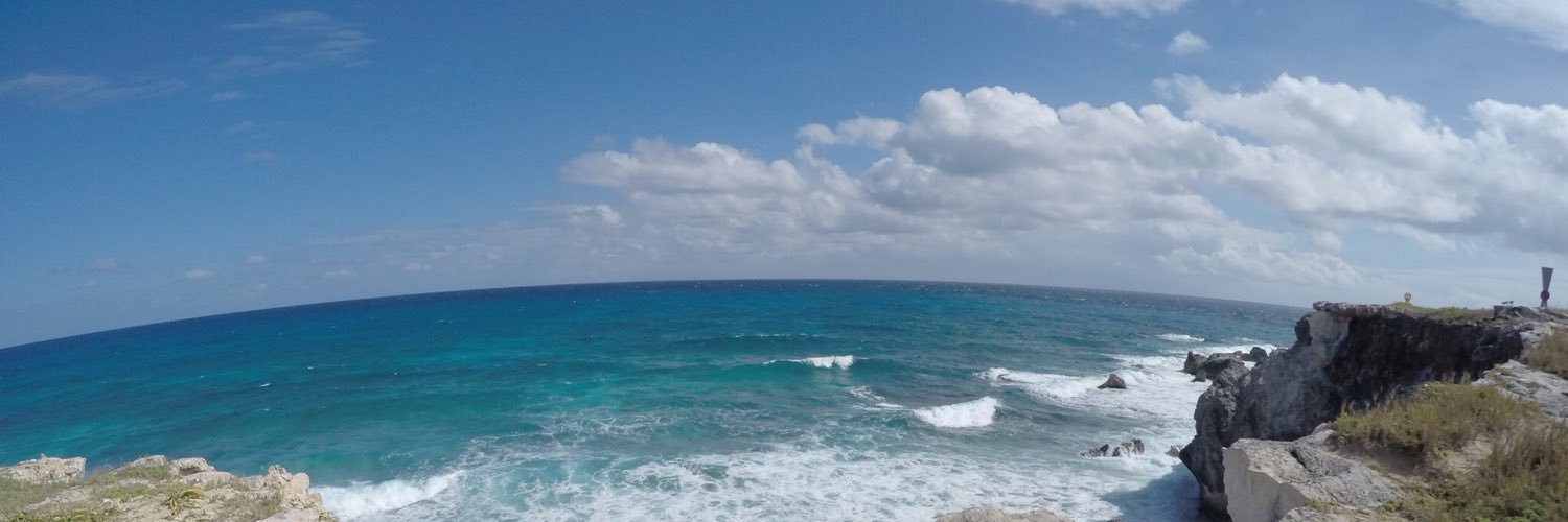 vianneeei's profile banner image