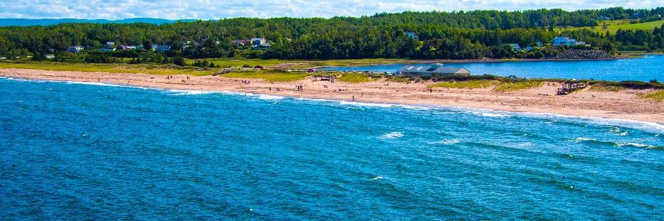 Bonnie MacDonald banner