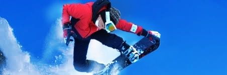 プロフェッショハル banner