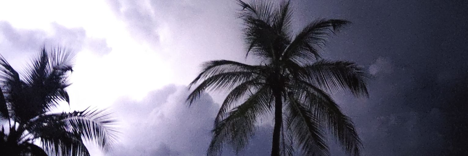 universidad de la basura banner