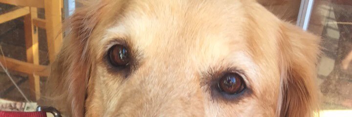 annettelaw27's profile banner image