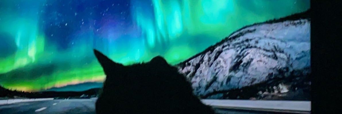 ☁️ banner