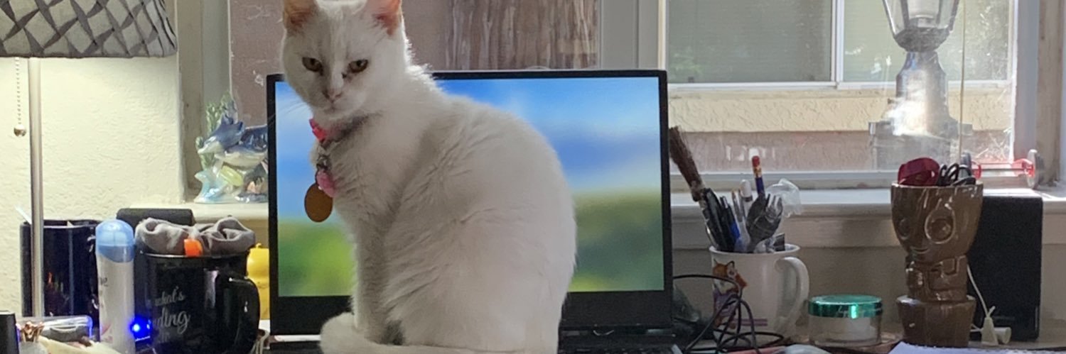 SoutheastMidwes's profile banner image