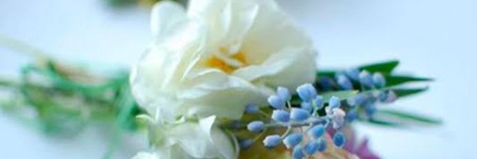 laurel_45's profile banner image