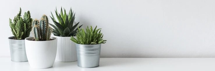 MotherOnTheMove's profile banner image