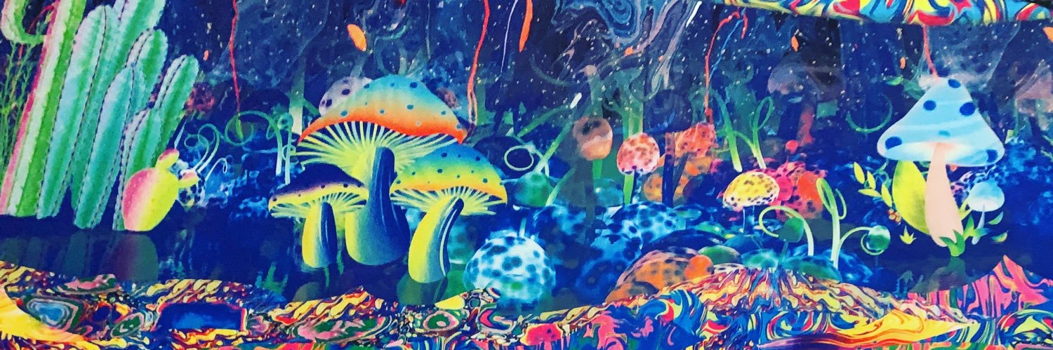 dory_matta's profile banner image